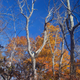 Illustration for article titled Fall photo dump